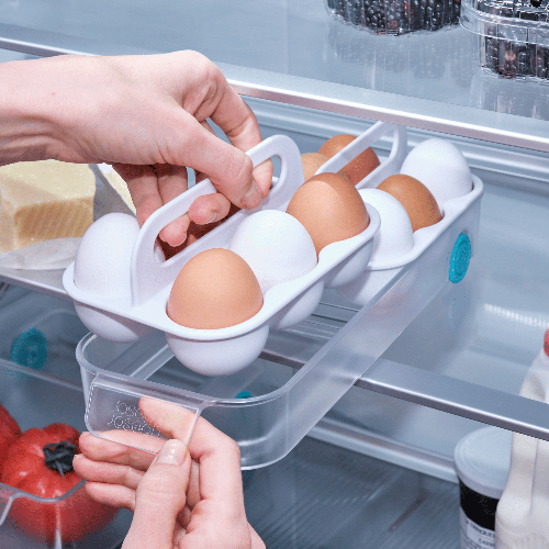 Range-œufs pour réfrigérateur - FridgeStore | Joseph Joseph