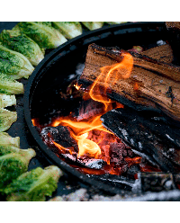 Anillo de Retención de Alimentos - Food Bumper | OFYR