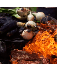 Anillo de Retención de Alimentos - Food Bumper | OFYR