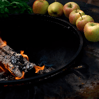 Anneau de rétention des aliments – Food Bumper | OFYR