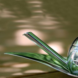 Provador de Azeite Individual – Inox – Taste-Huile – Alessi