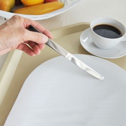 Conjunto de 6 Facas – Prateado – Santiago – Alessi