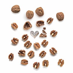 Abre-nozes – Prateado – Nut Splitter – Alessi