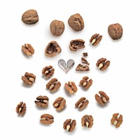 Abre-nozes – Prateado – Nut Splitter – Alessi