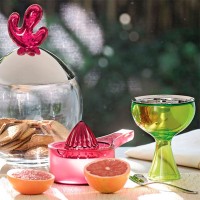 Conjunto de 6 Colheres para Gelado – Inox – Big Love – A Di Alessi
