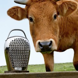 Ralador – Prateado – Cheese Please – Alessi