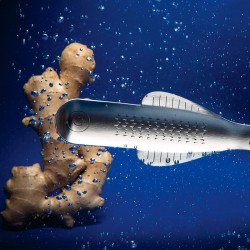 Ralador de Gengibre – Boga – Alessi