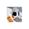Espremedor de Citrinos Elétrico – Inox – SG63 – Alessi