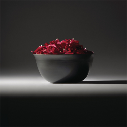 Centro de Mesa – Preto – Coppa Camuna – Alessi