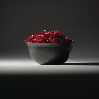 Centro de Mesa – Preto – Coppa Camuna – Alessi