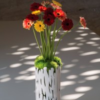 Jarra – Inox – Barkvase – Alessi
