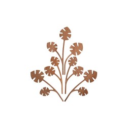 Folhas para Difusor Hmm – The Five Seasons – Alessi