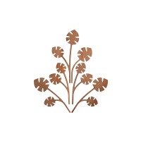 Folhas para Difusor Hmm – The Five Seasons – Alessi