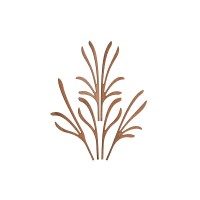 Folhas para Difusor Grrr – The Five Seasons – Alessi