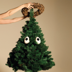 Conjunto de 2 Decorações de Natal Holly – Branco e Preto – Freebies – Alessi