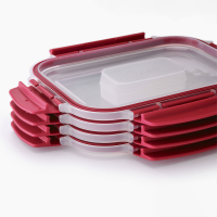 1L – Vermelho – Nest Lock – Joseph Joseph