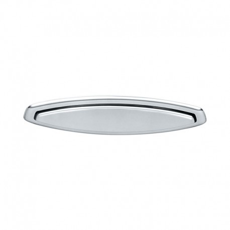 Stainless Steel Fish Serving Platter - Alessi
