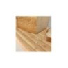 Caixa para Pão com Tábua Branco - Bread Bin - Joseph Joseph