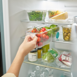Organizador Pequeno para Frigorífico - FridgeStore Transparente - Joseph Joseph