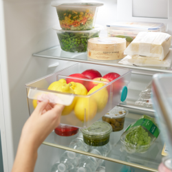 Organizador Pequeno para Frigorífico - FridgeStore Transparente - Joseph Joseph