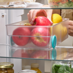 Organizador Pequeno para Frigorífico - FridgeStore Transparente - Joseph Joseph
