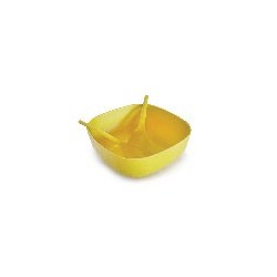 Salad Bowl